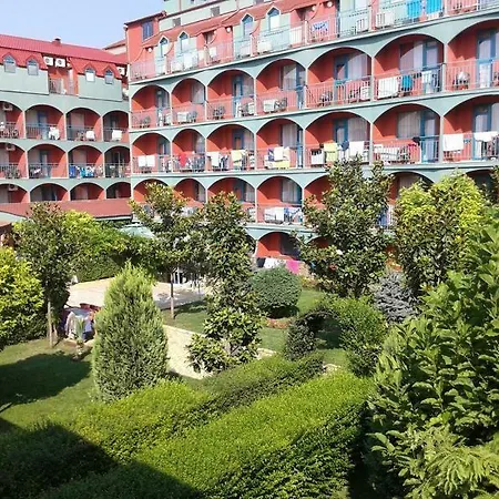 Kokiche Słoneczny Brzeg